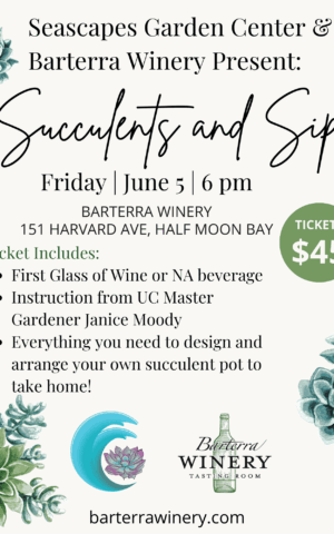 Succulents & Sip: Friday June 5 at 6 pm