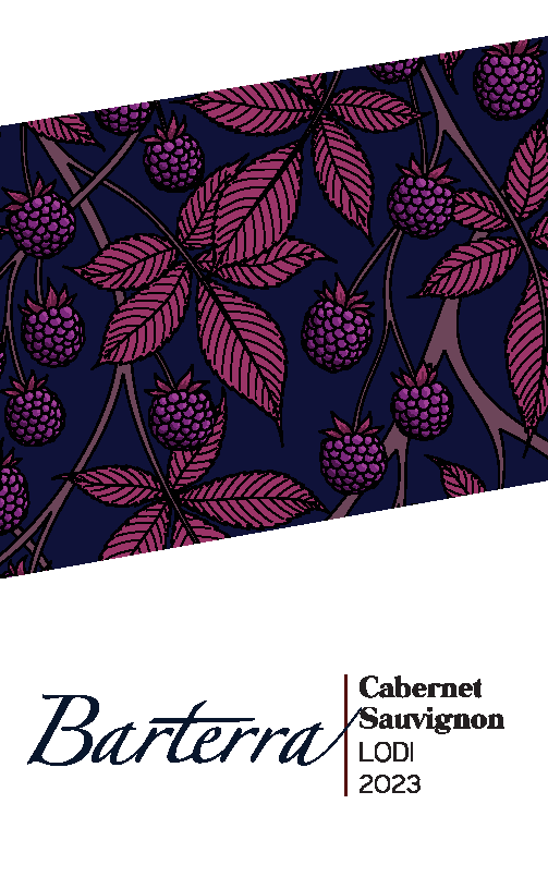 2023 Cabernet Sauvignon front label